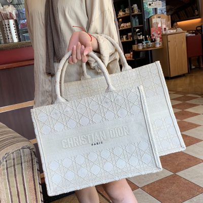 Wholesale Luxury Dior Small Book Tote Multi Colors