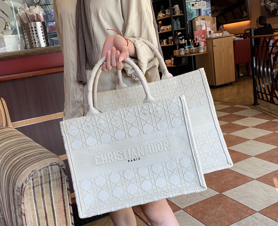 Wholesale Luxury Dior Small Book Tote Multi Colors