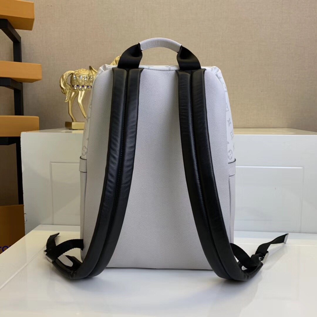 Wholesale Luxury Louis Vuitton Aaa-Discovery Backpack M30232 M30228 - Image 6