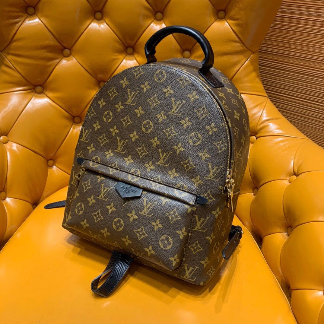 Wholesale Luxury Louis Vuitton Palm Springs Backpack - Image 10
