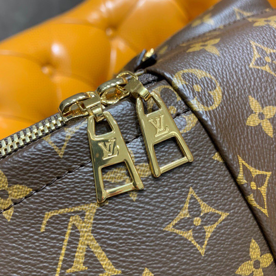 Wholesale Luxury Louis Vuitton Palm Springs Backpack - Image 11