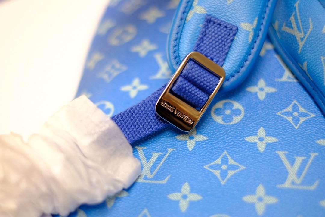 Wholesale Luxury Louis Vuitton Aaa-Backpack Multipocket M45441 Blue - Image 5
