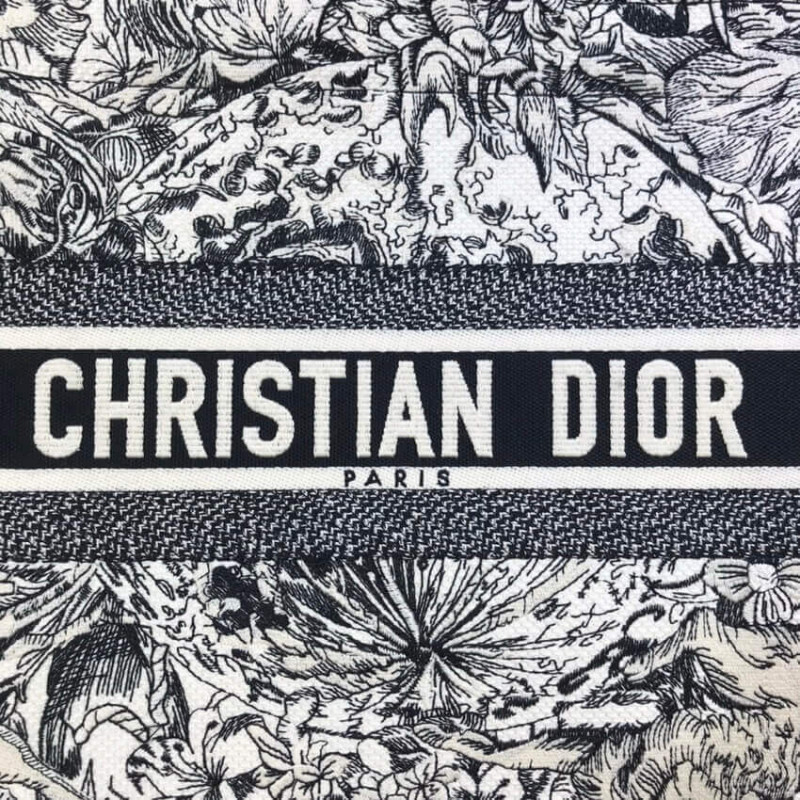 Wholesale Luxury Dior Small Book Tote In Latte Multicolor Zodiac Embroidery M1296 - Image 6
