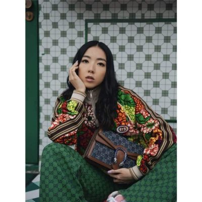 Alternative view of Wholesale Luxury Gucci Denim Small Dionysus Shoulder Bag 400249