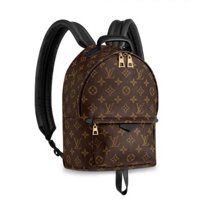 Wholesale Luxury Louis Vuitton Monogram Canvas Palm Springs Backpack Pm M41560