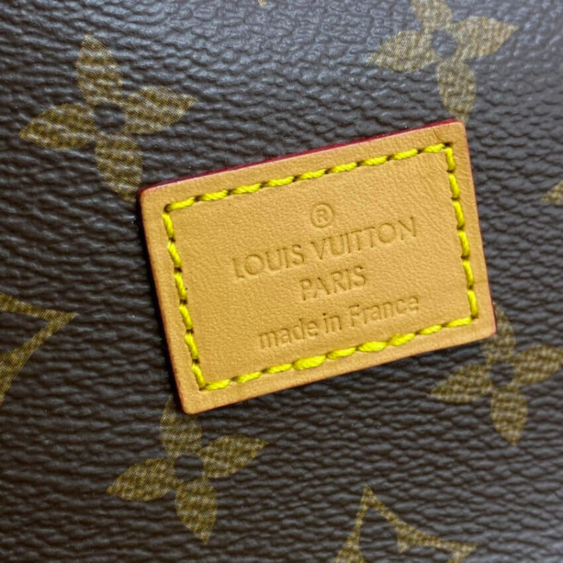 Wholesale Luxury Louis Vuitton Monogram Canvas Saumur Mm M42256 - Image 15