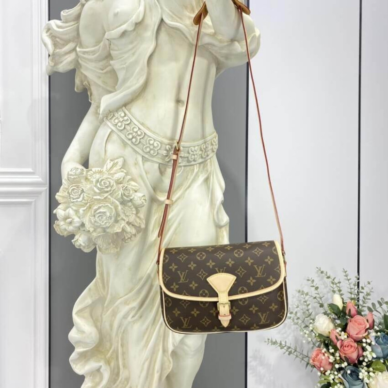 Wholesale Luxury Louis Vuitton Monogram Sologne Shoulder Bag M42250 - Image 5