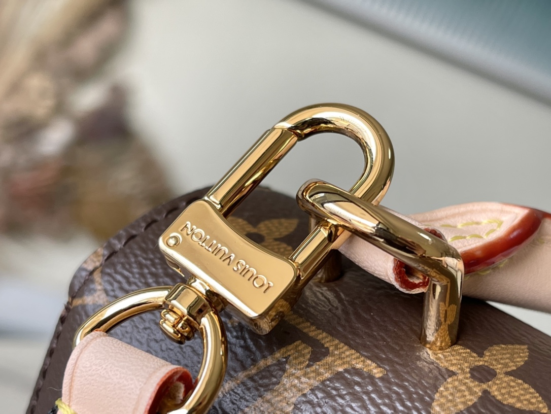 Wholesale Luxury Louis Vuitton Cluny Bb M46372 - Image 8