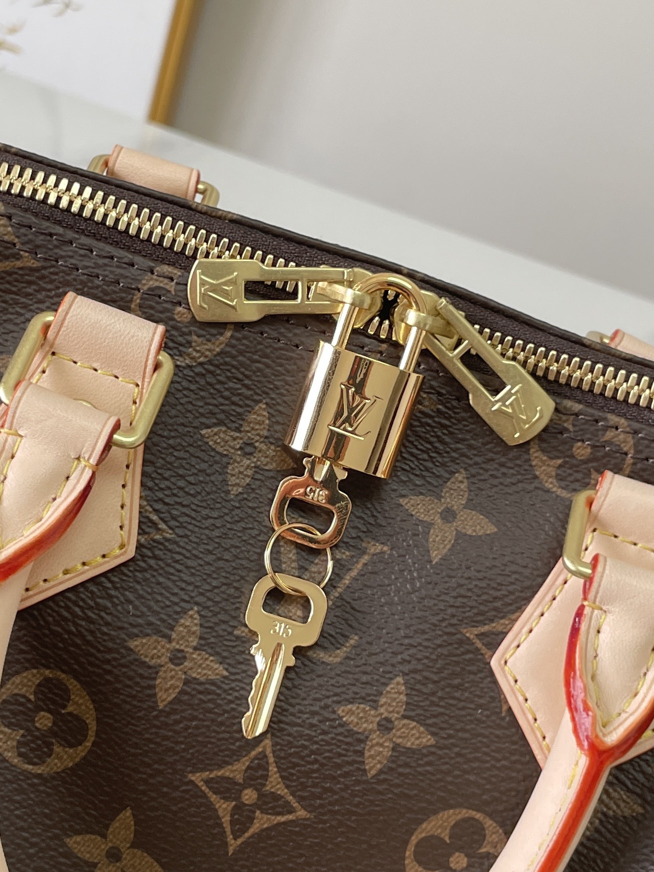 Wholesale Luxury Louis Vuitton Speedy Bandouliere 25 M41113 - Image 5