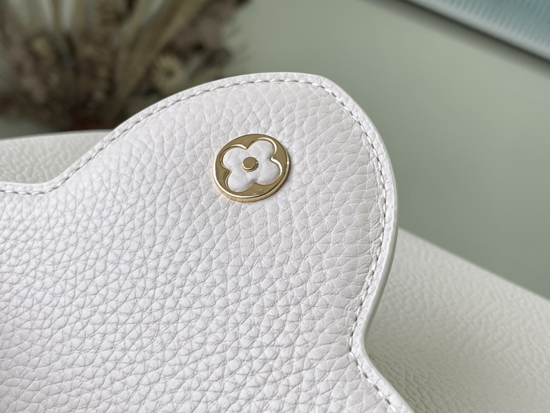 Wholesale Luxury Louis Vuitton Z Capucines Mm M21127 - Image 4