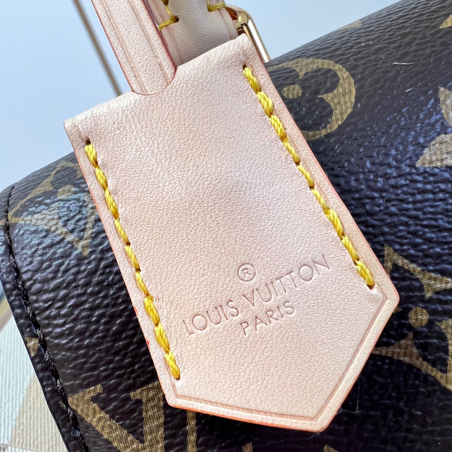 Wholesale Luxury Louis Vuitton Cluny Bb M46055 - Image 9