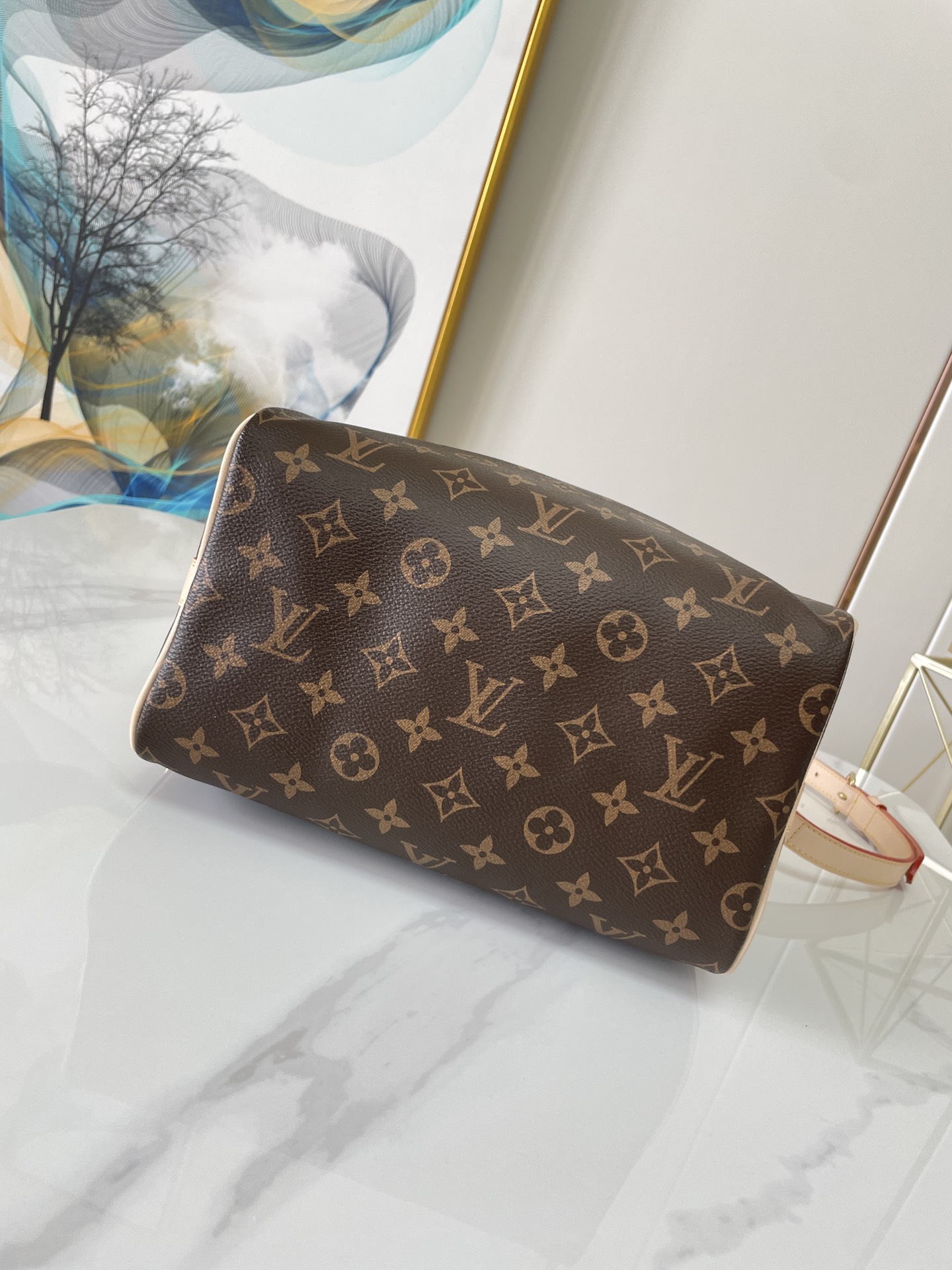 Wholesale Luxury Louis Vuitton Speedy Bandouliere 25 M41113 - Image 8