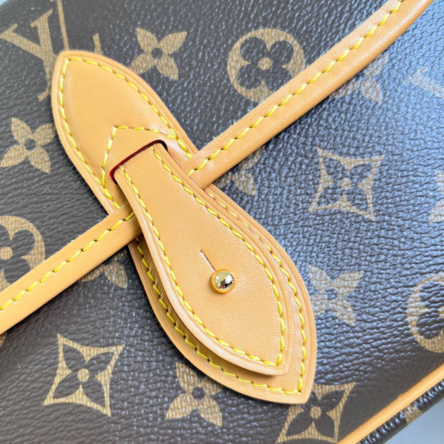 Wholesale Luxury Louis Vuitton Gibeciere Pm Shoulder Bag M42248 - Image 8