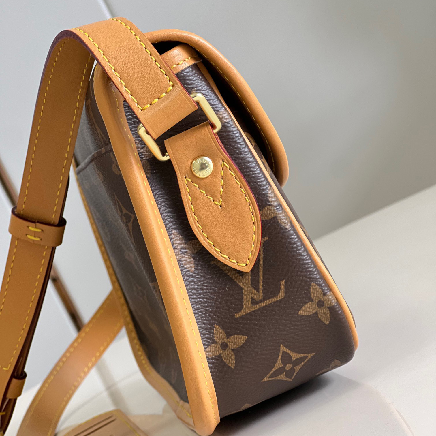 Wholesale Luxury Louis Vuitton Gibeciere Pm Shoulder Bag M42248 - Image 5